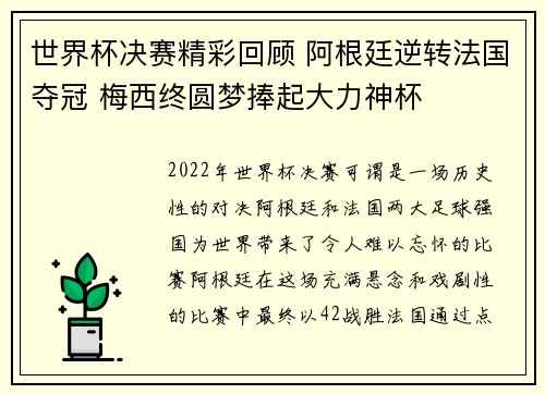 世界杯决赛精彩回顾 阿根廷逆转法国夺冠 梅西终圆梦捧起大力神杯